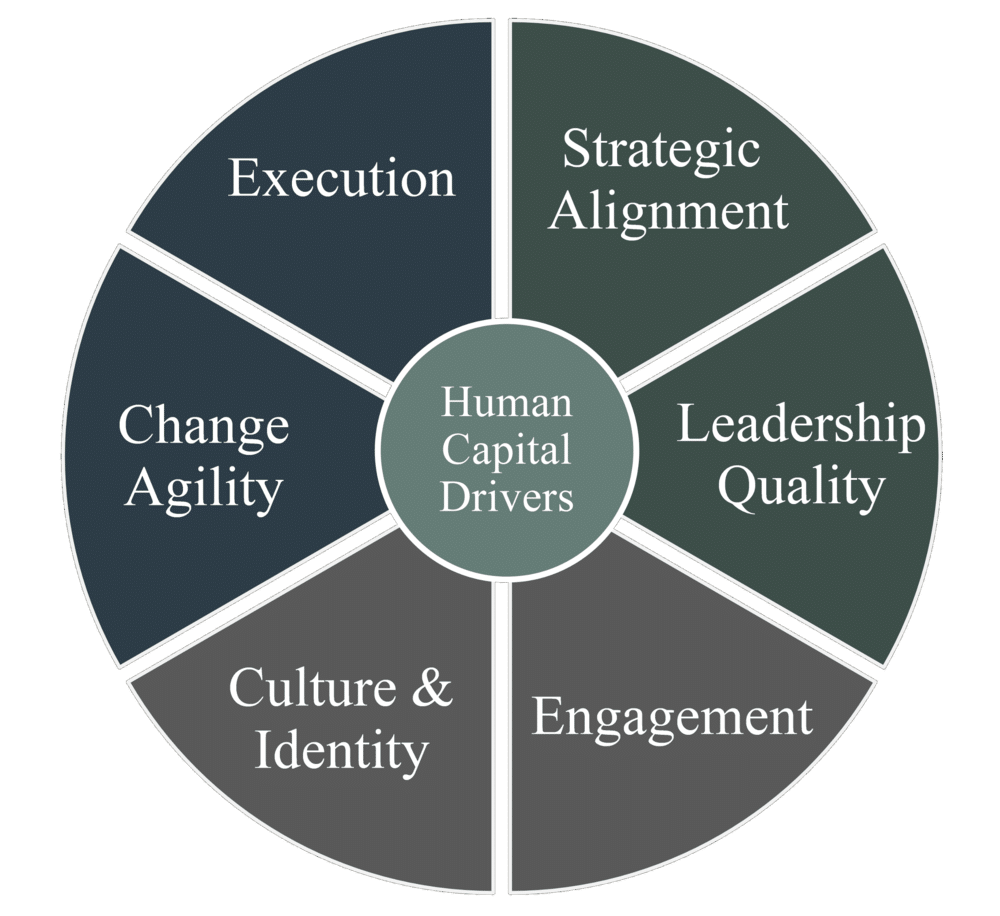 Human Capital & Training | Prescient Solutions Group ...
 Human Capital
